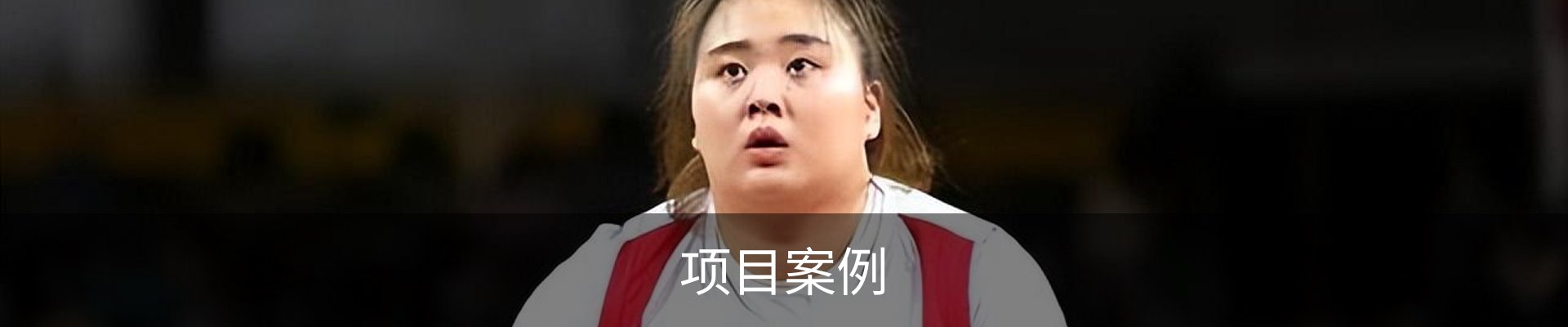 项目案例